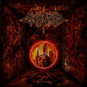 Violent Disfiguration