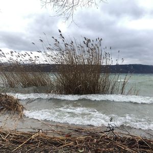 Bodenseele (Radio Edit)