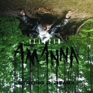 Illúzió (Strong R. Remix)