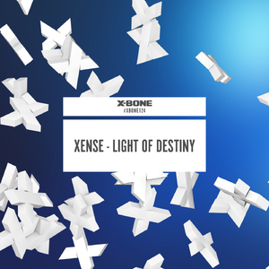Light Of Destiny (Original Mix)