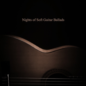 Acoustic Guitar Zone