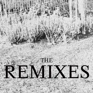 Teal Moon (Lustlos Remix)