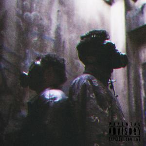 DESVANEIO (feat. Zombie Snow)