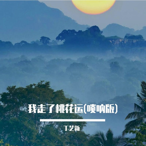 我走了桃花运(唢呐版)