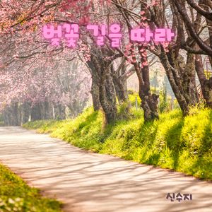벚꽃 길을 따라