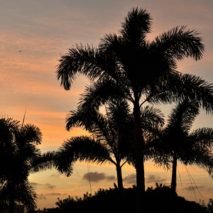 银河系写好的相遇剧情