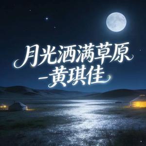 月光洒满草原