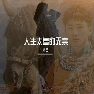 人生太多的无奈 伴奏