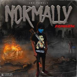 Normally (feat. Birdman Jr1ne)