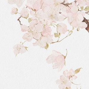 桃花笑（《小女花不弃》OST）