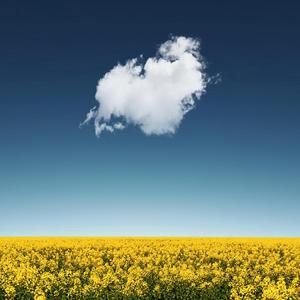 如果云知道《电影:只有芸知道》