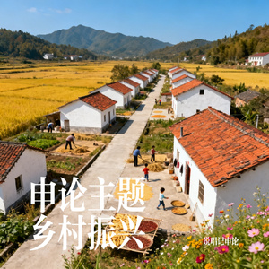 农村现代化