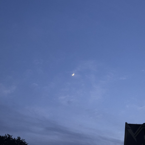 飞鸟(Prod.by 多芬DolBeatz）