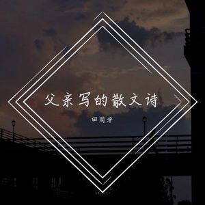 父亲写的散文诗（男生版）