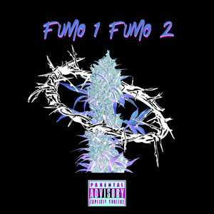 Fumo 1 Fumo 2