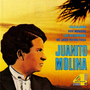 Callejera