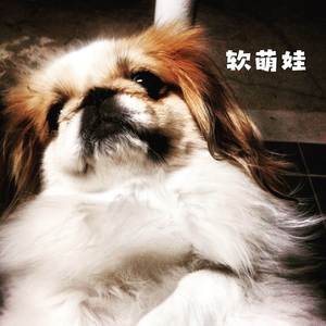 心动靓 (（吉他）)