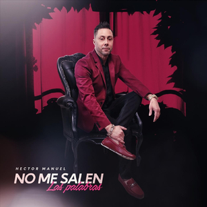 No Me Salen las Palabras