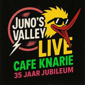Take It All (Live @ Cafe Knarie 35 jaar)