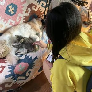 star(反方向的钟)