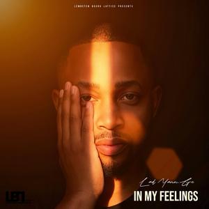 Zijulile (feat. Gemini Franklin & Melo Deep)