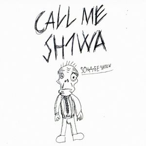 зондбечипсы