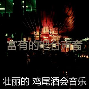 精彩吧台环境