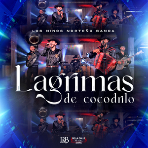 Lagrimas De Cocodrilo