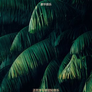 适合办公事务愉快的音乐