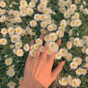 线索（翻自 蓝心羽）