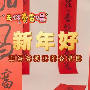 《新年好》现场录音版
