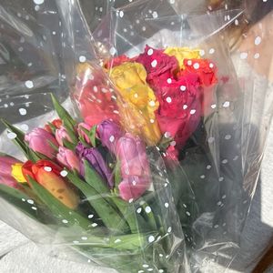 男孩别哭（cover欧阳娜娜版）