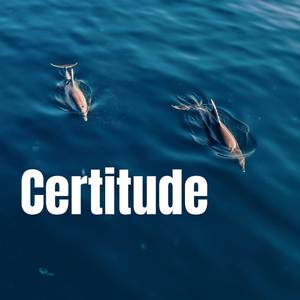 Certitude