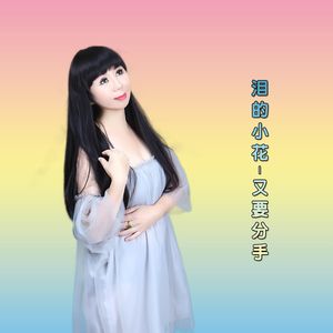 泪的小花-又要分手