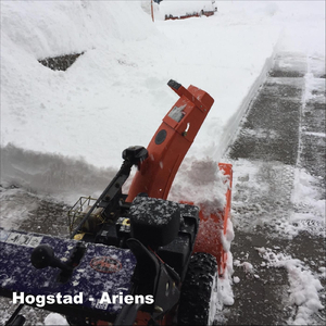 Ariens