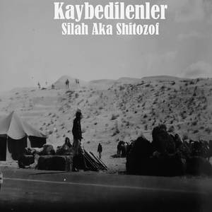 Kaybedilenler