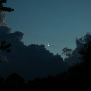 月の舟 （Acoustic ver.）