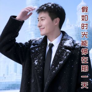 假如时光能停在那一天（DJ版）