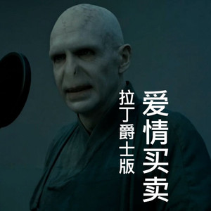 爱情买卖（霍格沃兹版）