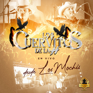 Quiéreme Como Te Quiero (En Vivo)