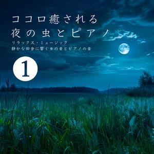 夜の記憶の中で