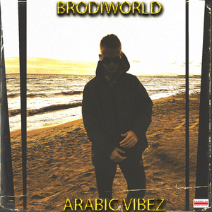 Стаффчик Vvs