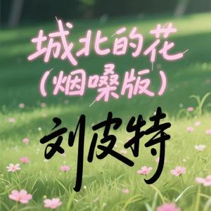 城北的花 (烟嗓版)