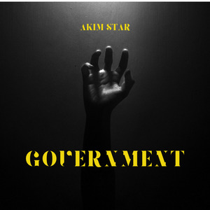 Government