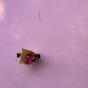 NOT IN LOVE