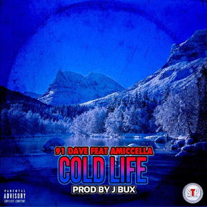 Cold Life (feat. Amiccella)