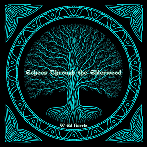 The Poor Scholar / The Teetotaller's (Medley)