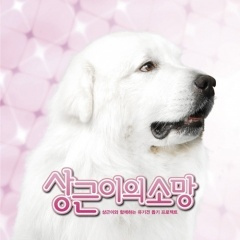 지금 만나러 가요