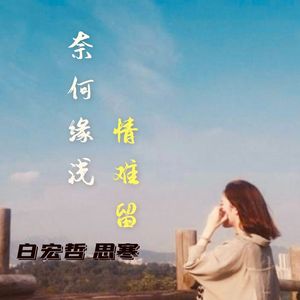 奈何缘浅情难留 伴奏