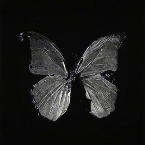 在那之后(片段)